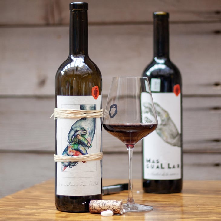 Résilience d'en paillol - Mas Guallar - camila-opazo -2020