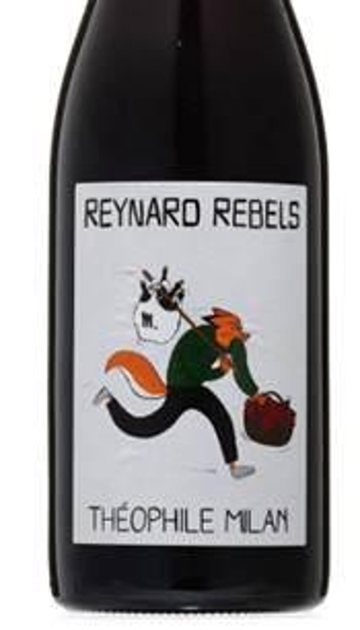 Reynard Rebels (Magnum) - Domaine Milan - emma-theophile-henri-milan 