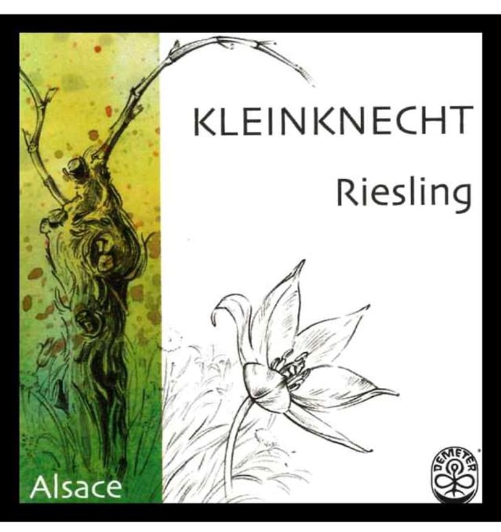 Riesling - Domaine Kleinknecht - andre-kleinknecht 