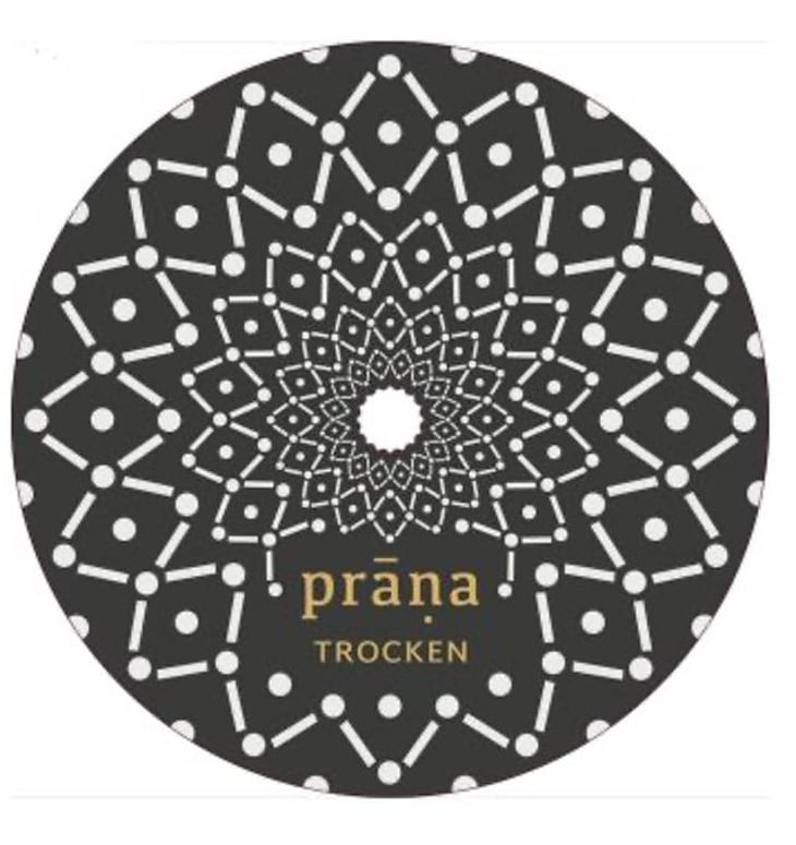 Riesling trocken - Weingut Prāṇa - cosima-lindenau-niklas-eisenacher 