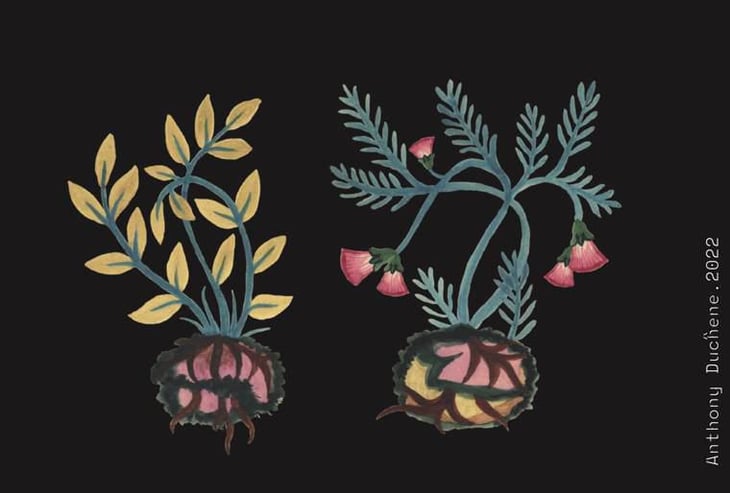 Rita & Rova (old label) - Tailleurs Cueilleurs - chloe-bey-jordan-dosualdo 