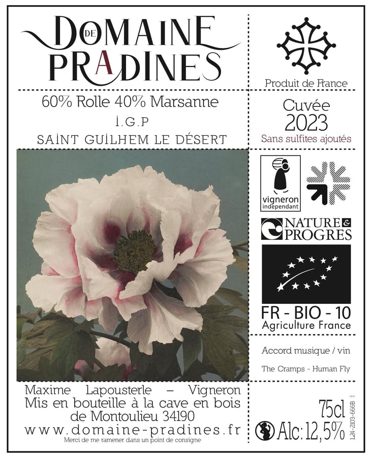 Le Blanc - Domaine de Pradines - maxime-lapousterle 