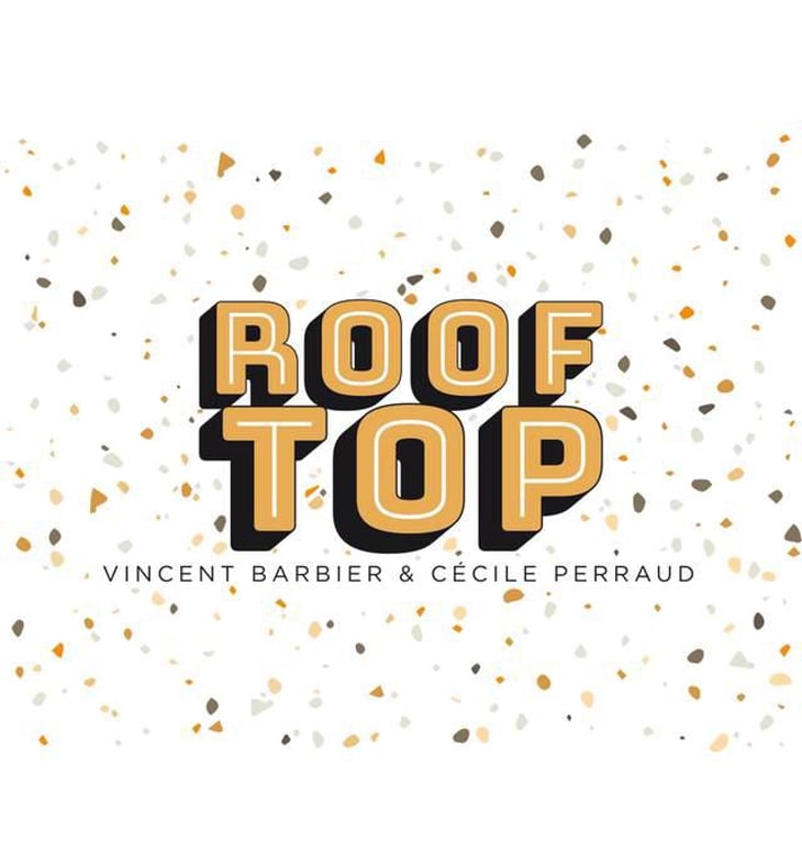 Rooftop - Les Trois Toits - vincent-barbier-cecile-perraud -2020
