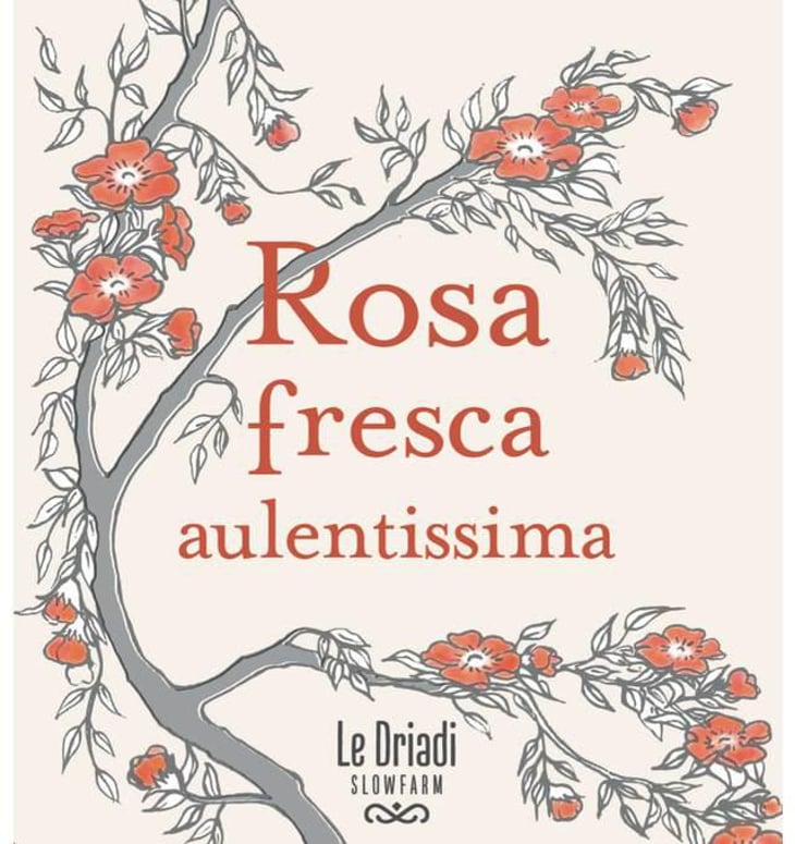 Rosa Fresca Aulentissima - Le Driadi Slow Farm - gabriella-aleandri-luciano-chenet 