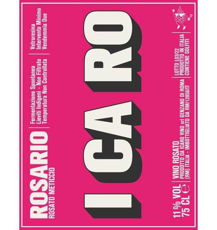 Rosario Rosato Metticcio - ICARO - rocco-caroselli-luca-di-marzio-gianmarco-diorio-fabio-gentile 