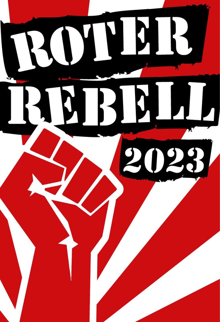 Roter Rebell - Domaine Pascal Treichler - pascal-treichler -2022