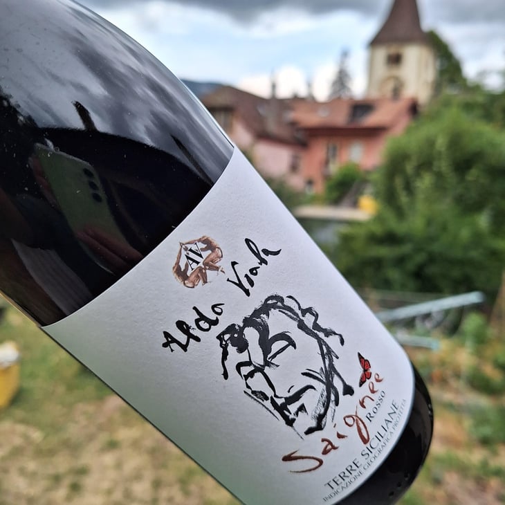 Saignée de Sorbée - Brut Nature - Azienda Agricola Aldo Viola - aldo-viola 