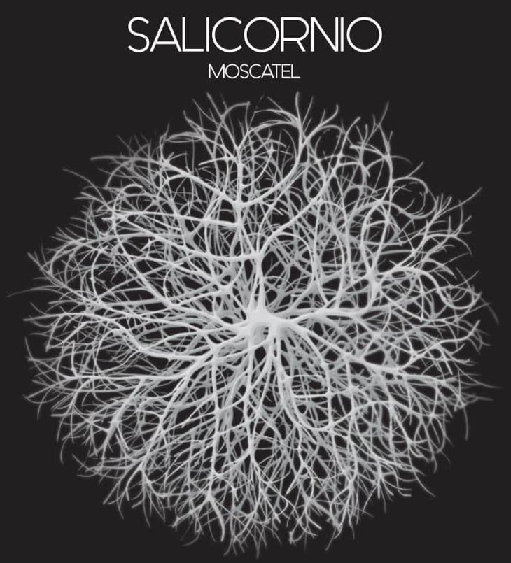 Salicornio Moscatel - Finca Casa Balaguer - marta-ribera-andres-carull 