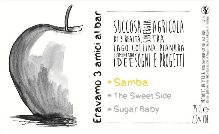 Samba (Cider and elderberry syrup) - Impronta Agricola - Azienda Agricola Bricchi - kishalay-bricchi 