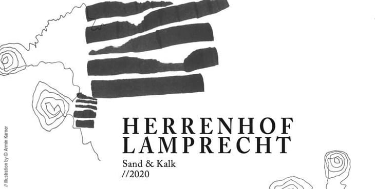 Sand & Kalk Weißburgunder - Herrenfof Lamprecht - gottfried-lamprecht 