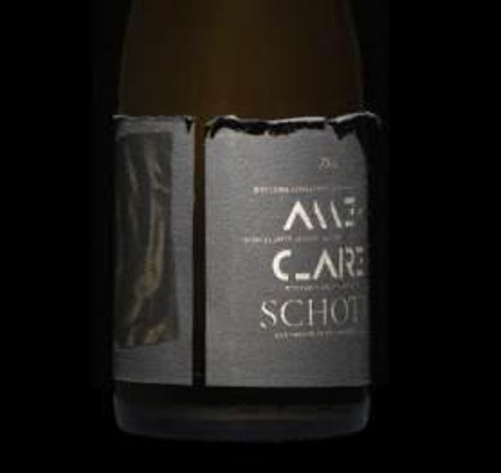 Sauvignon Blanc - Orange - Schott Weine - Aroma der Landschaft - anne-claire-schott 