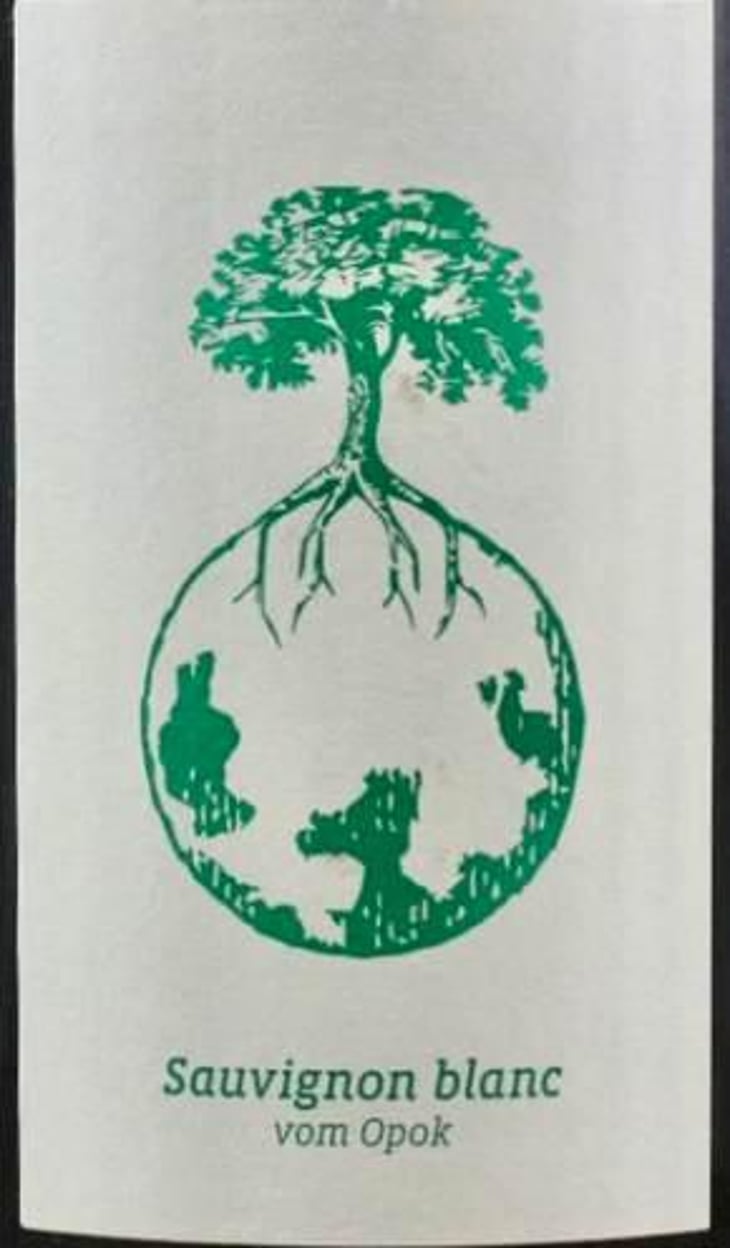 Sauvignon Blanc vom Opok - Weingut Werlitsch - ewald-brigitte-tscheppe 