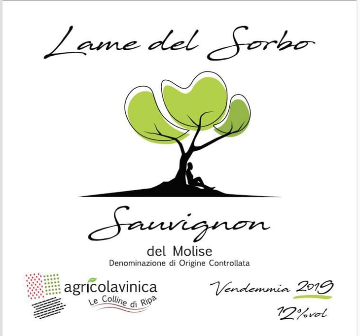 Lame del Sorbo - Sauvignon - Azienda Agricolavinica - rodolfo-gianserra-e-giuseppe-tudino 