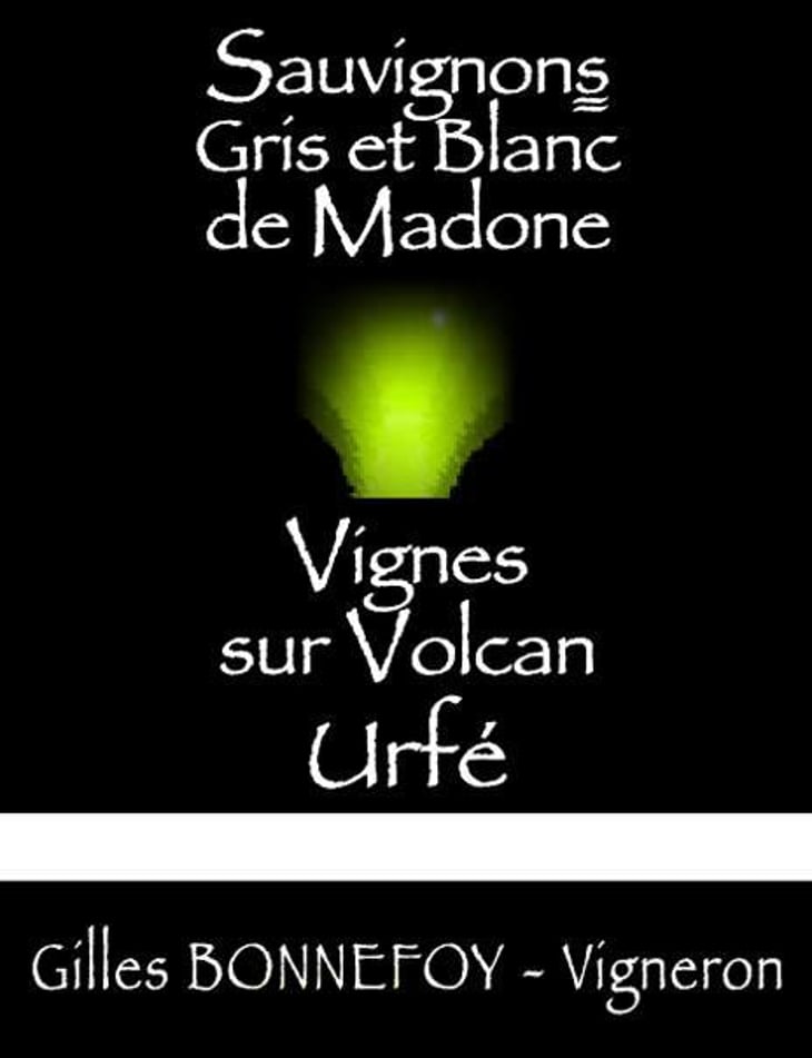 Sauvignons Gris et Blancs de Madone - Vins de la Madone - gilles-bonnefoy 
