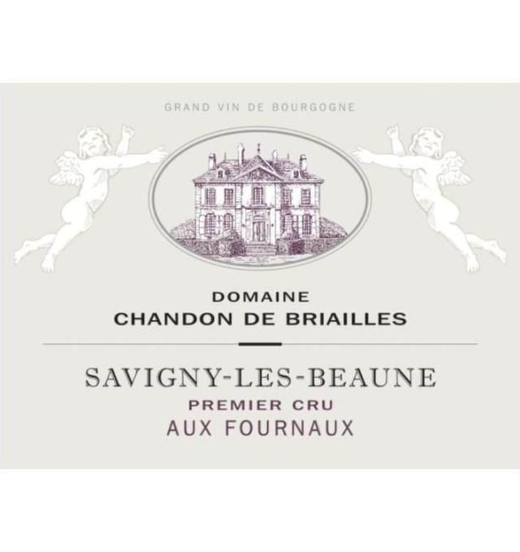 Savigny-les-Beaune 1er Cru "Aux Fournaux" - Domaine Chandon de Briailles - claude-francois-de-nicolay 