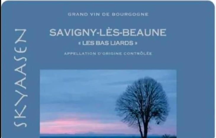 Savigny-lès-Beaune “Les Bas Liards” - Maison Skyaasen - joachim-skyaasen 