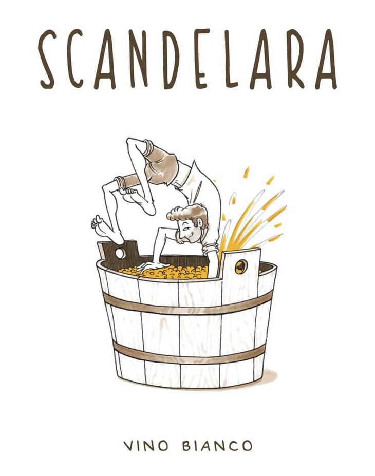 Scandelara Bianco - Scandelara - Azienda Agricola Castel Arienti - mattia-donini-4l 