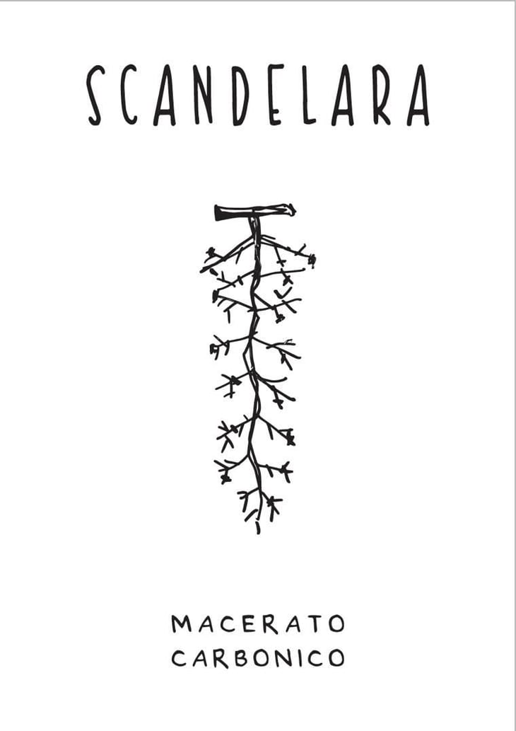 SCANDELARA MACERATO CARBONICO - Scandelara - Azienda Agricola Castel Arienti - mattia-donini-4l 