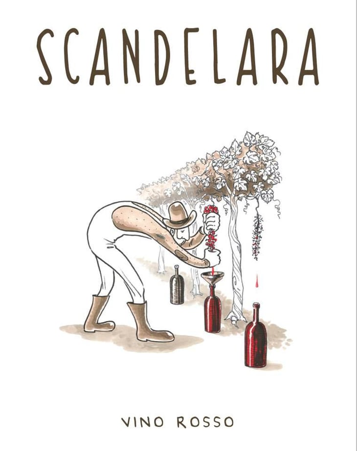 Scandelara Rosso - Scandelara - Azienda Agricola Castel Arienti - mattia-donini-4l 