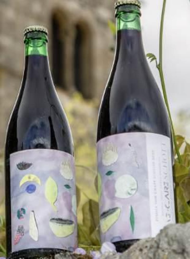 Schiller - Schott Weine - Aroma der Landschaft - anne-claire-schott 