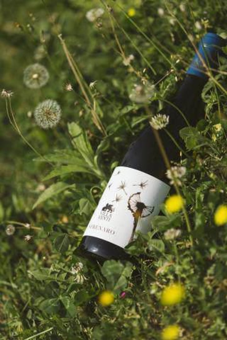 Serenaro - Villa Venti - mauro-giardini 