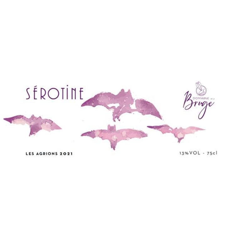 Sérotine - Domaine de La Bruge - Les Agrions - mathieu-quentin-robert 