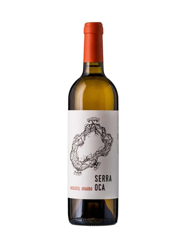 Serra Oca – Moscatel Graudo - Quinta do Olival da Murta - vivas-family -2020
