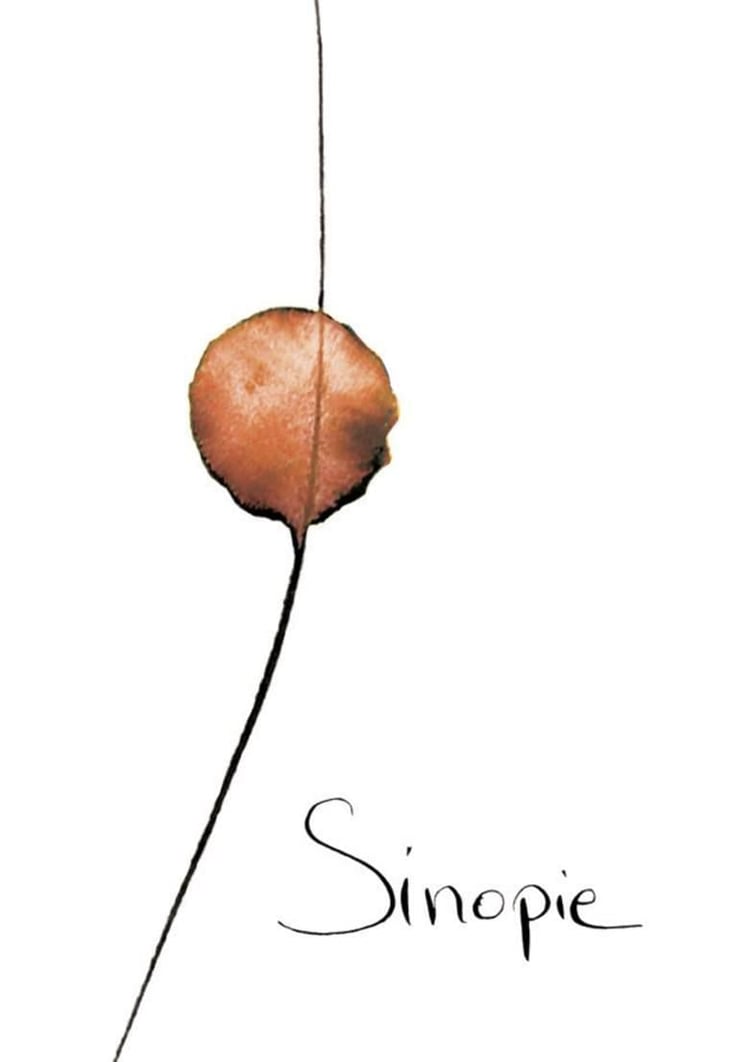 Sinopie - Le vin des Pauzes - florence-limousin-damien-aube 