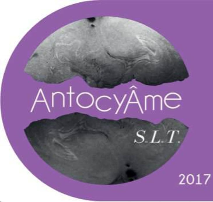 S.L.T - AntocyÂme - muriel-zoldan 