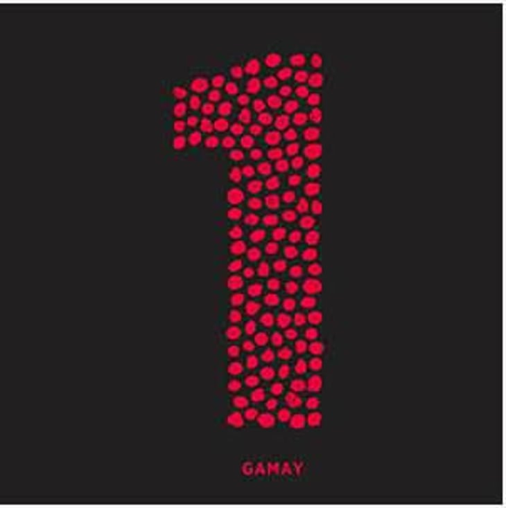 Gamay 1 - Gönc Winery / Grape Adbuction - peter-gonc 