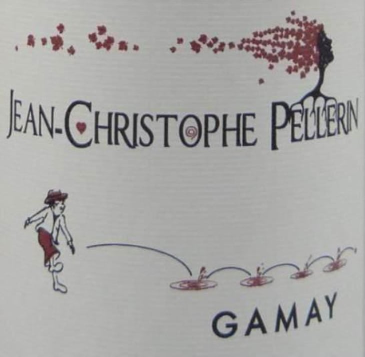 Gamay - Vignoble Pellerin - jean-christophe-baptiste-lucien-pellerin 