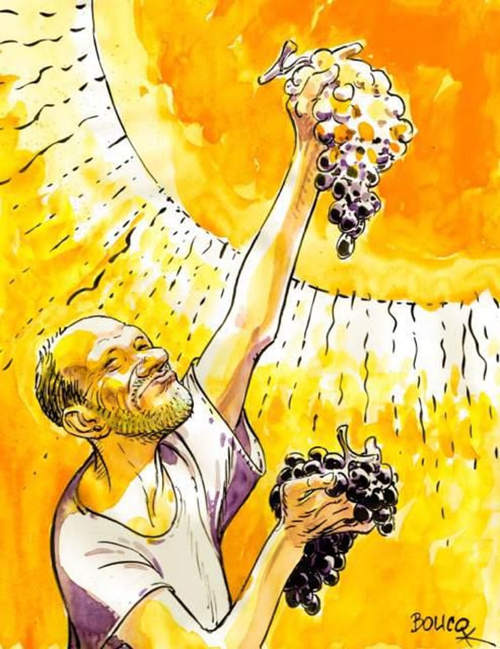 Sol’Air rosé (Liquoreux) - Domaine Saint Nicolas - mickael-antoine-thierry-michon 