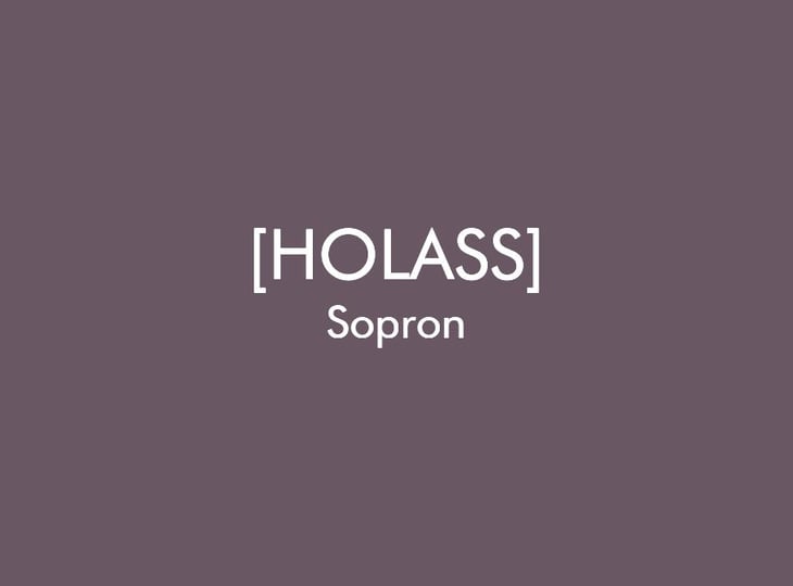 Sopron - Holass Wine Collective - ellie-bauwens-imre-halasz 