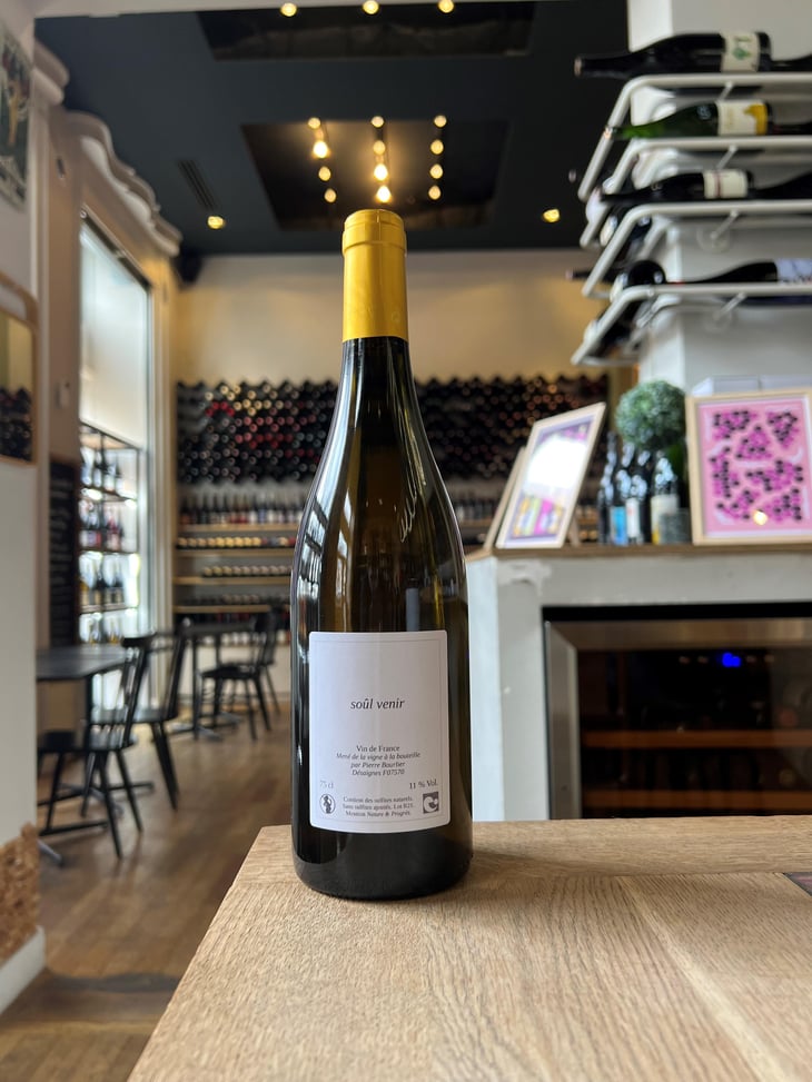 SOUL VENIR - Pierre Bourlier - pierre-bourlier -2021