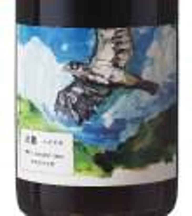 Sparrowhawk / 灰鷹（はいたか - Sakai Winery - Birdup Wine - 酒井ワイナリー - ippei-sakai 