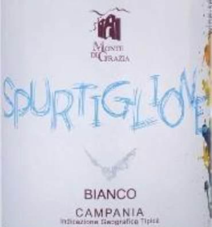 Spurtiglione - Monte di Grazia , Tramonti , (SA) , Campania , ITALIA - alfonso-arpino -2018