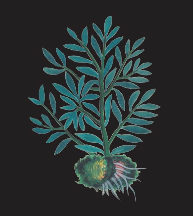 Lyëna - Tailleurs Cueilleurs - chloe-bey-jordan-dosualdo 