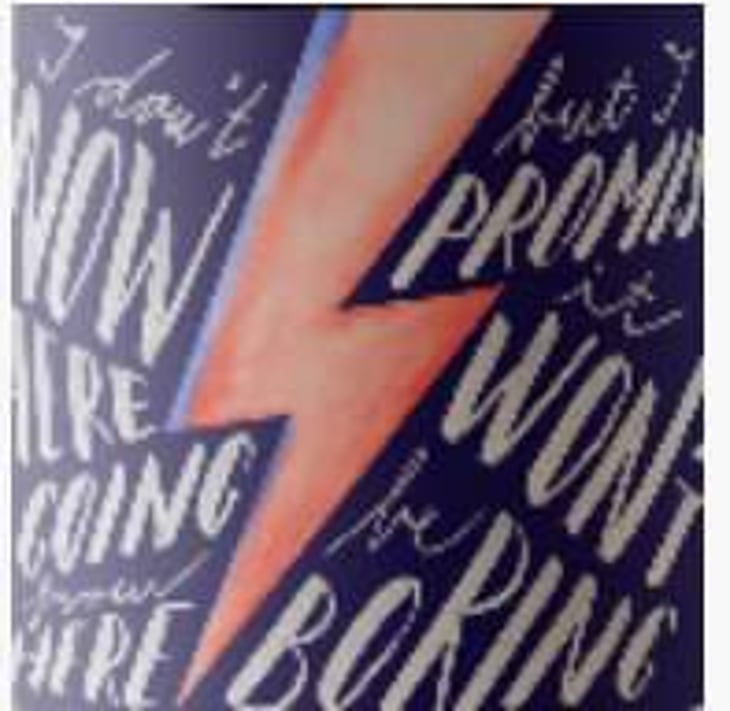 Starman - Gönc Winery / Grape Adbuction - peter-gonc 