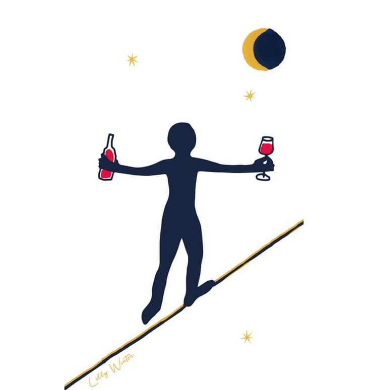 Still Crossing Borders - Soma Vines - daisy-merrick-antoine-lucchesi 