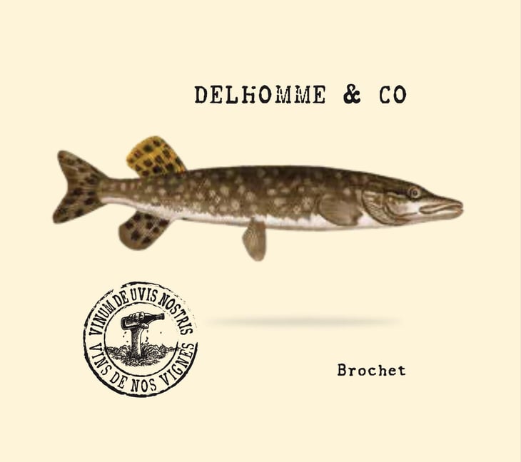 Super Ali - Delhomme & co - baptiste-delhomme -2020