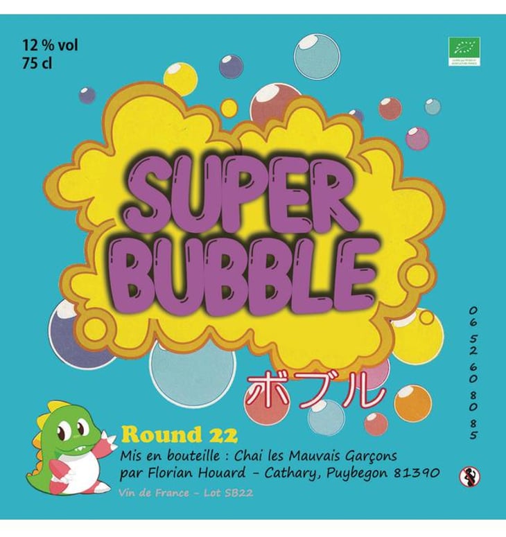 SuperBubble - Chai les Mauvais Garçons - florian-houard-et-romaric-pouliquen 