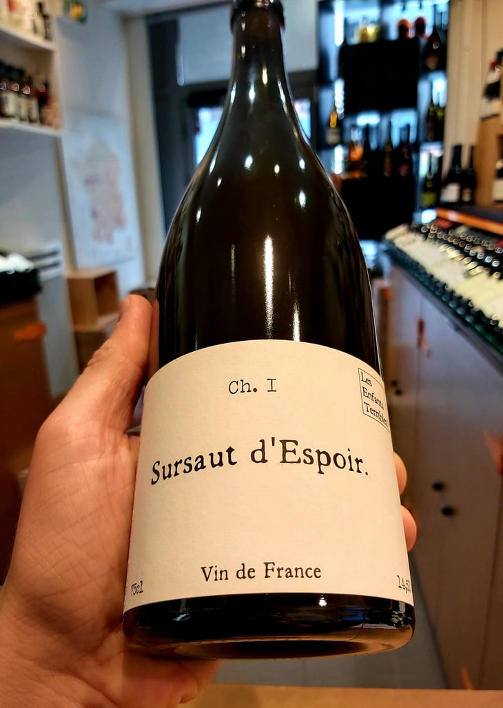 Sursaut d'Espoir - Les Enfants Terribles - jean-sarah-fallay 