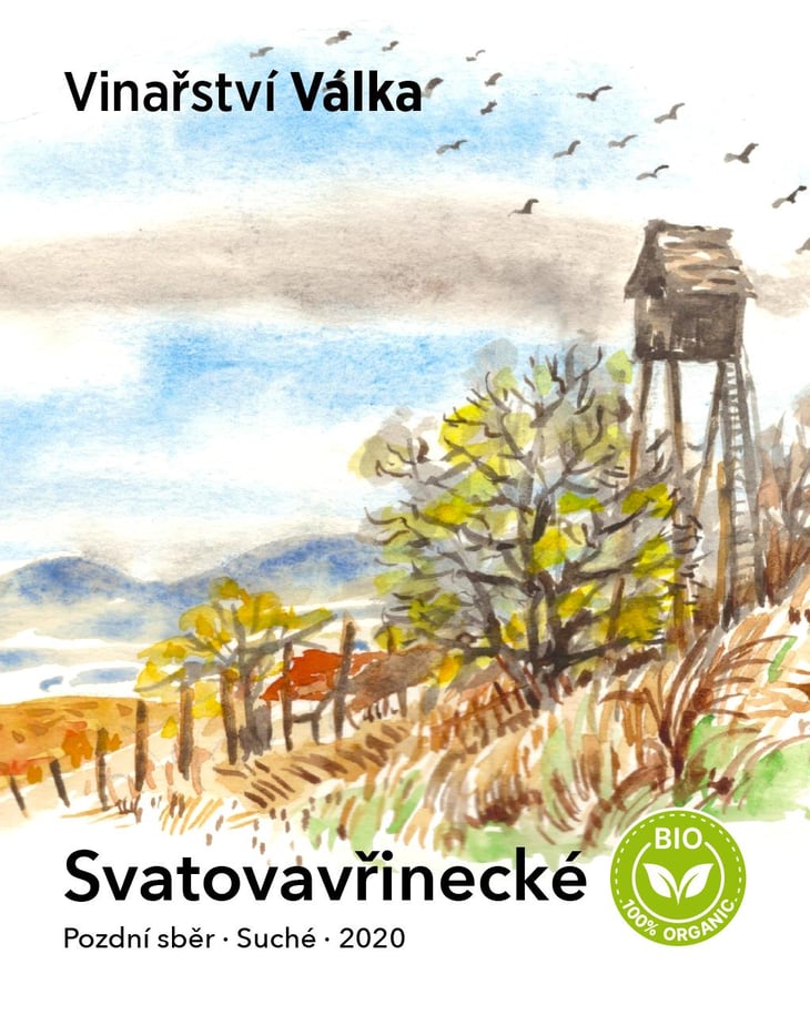 Svatovavřinecké - Vinařství Válka - vinarstvi-valka 
