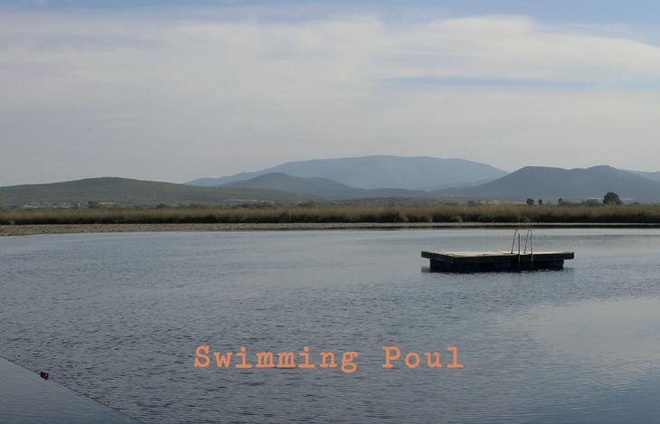 Swimming Poul - Domaine La Goguette - julien-mary -2022