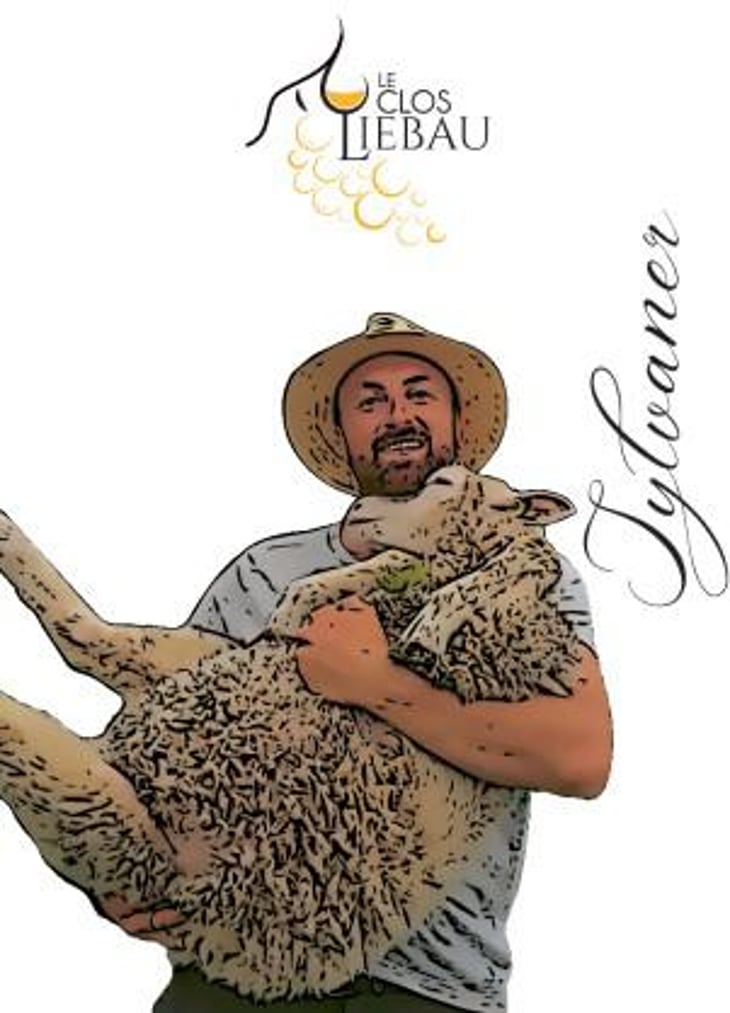 Sylvaner - Le Clos Liebau - sebastien-schwach-burkard -2022