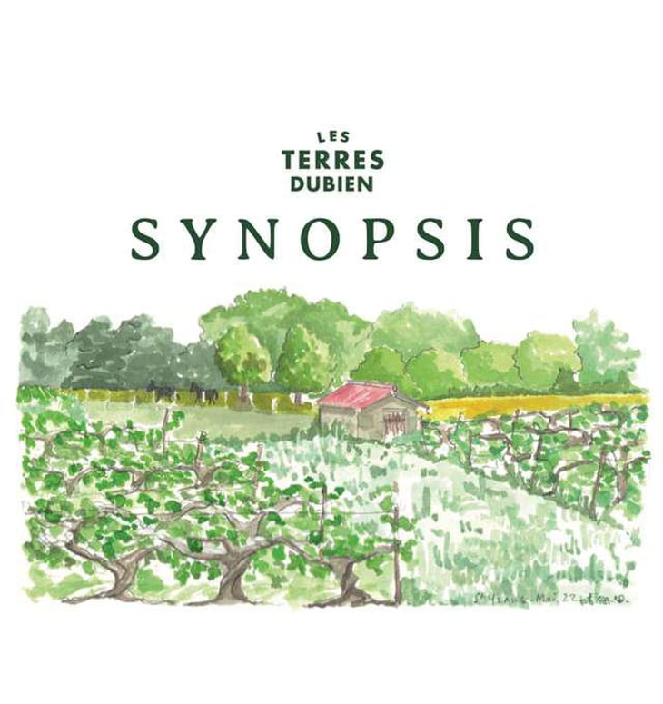 Synopsis - Les Terres Dubien - benoit-joussot-dubien -2020