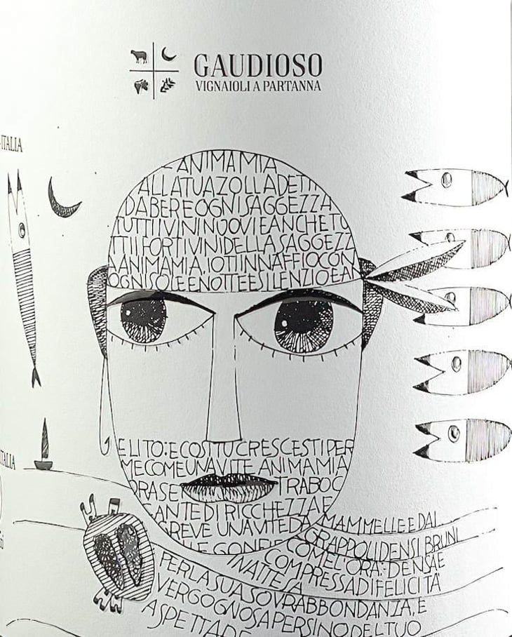 Syrah - Azienda Agricola Gaudioso - antonio-rosa-gaudioso 