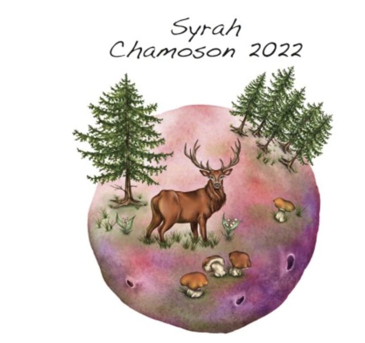 Syrah Chamoson - Domaine des Petites Planètes - guillaume-bodin 