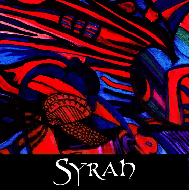 Syrah - Domaine Du Bois Rond - melanie-dedron-et-igor-denat 