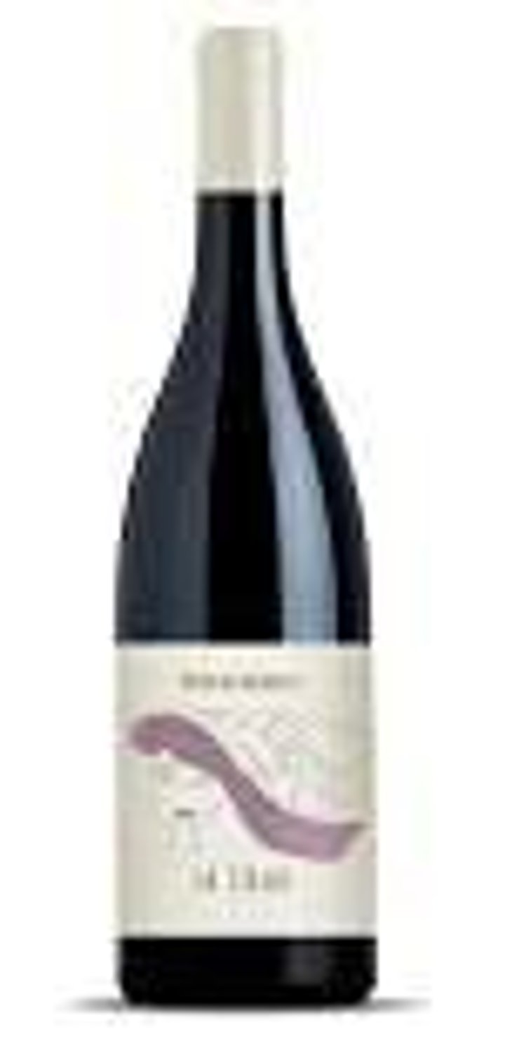 Syrah - Tenuta Lenzini - benedetta-tronci-michele-guarino 